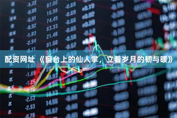 配资网址 《窗台上的仙人掌，立着岁月的韧与暖》