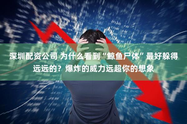 深圳配资公司 为什么看到“鲸鱼尸体”最好躲得远远的？爆炸的威力远超你的想象